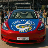 Parramatta Eels Bonnet Flag & Side Mirror Covers